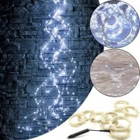 Indoor LED Garland Ponytail 200LED Diodes 2M 10 Strands Cold White for Home Dew 10 Strings of 2 Meters USB Cold White